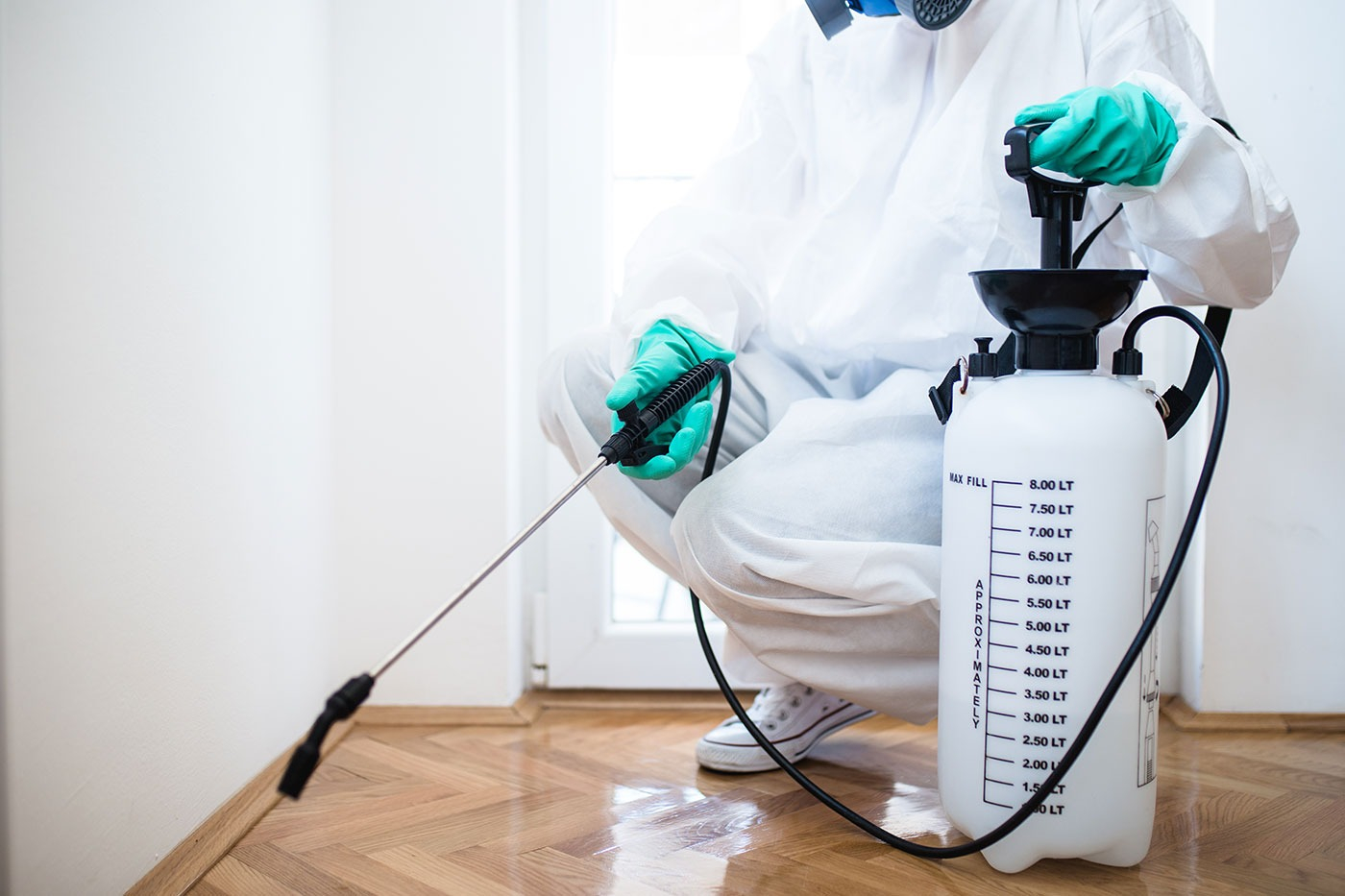 Reliable Pest Control for a PestFree Environment in San Antonio