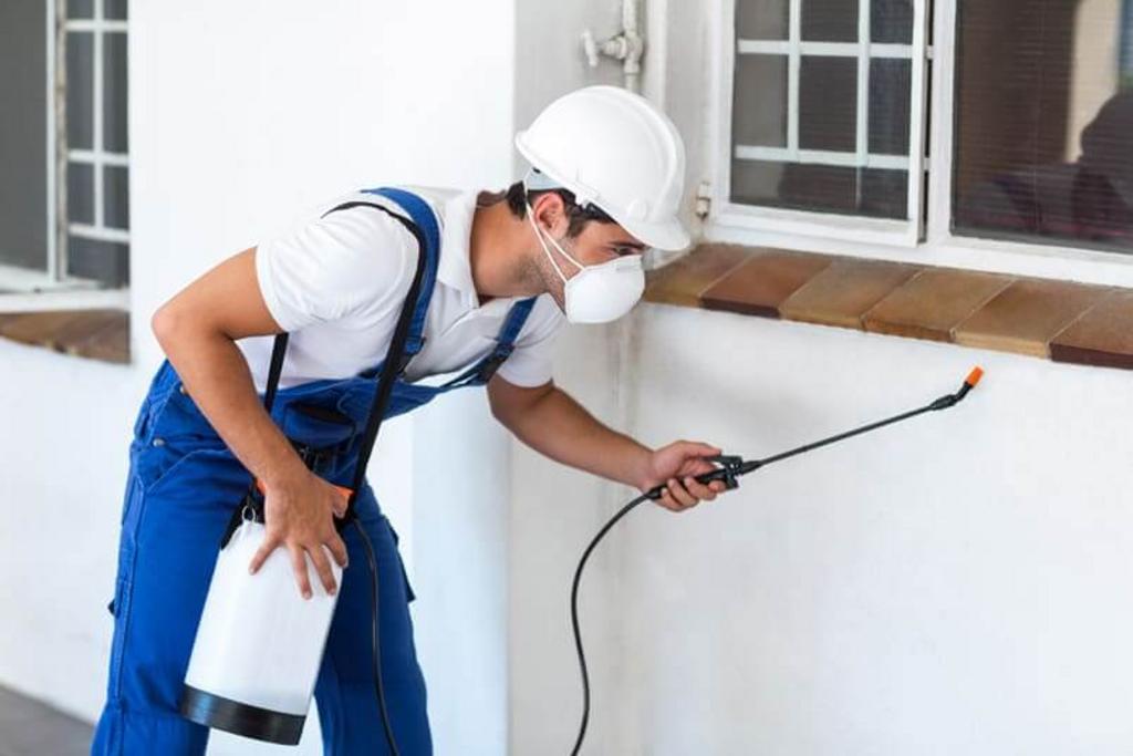 Pest Control Services in Leander TX
