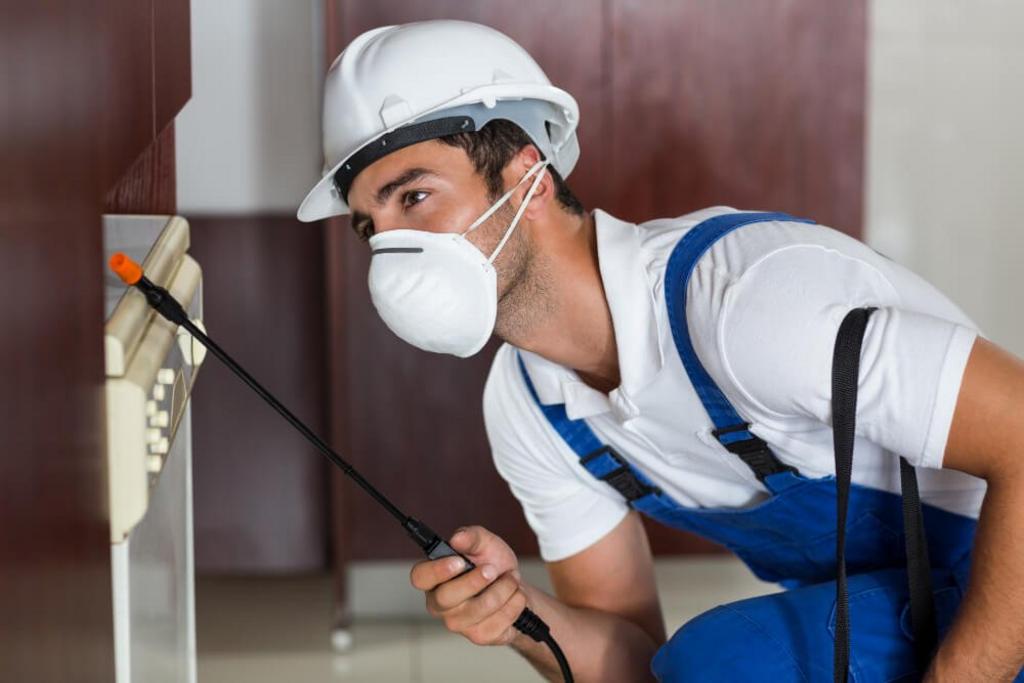 Pest Control Services in Pflugerville TX