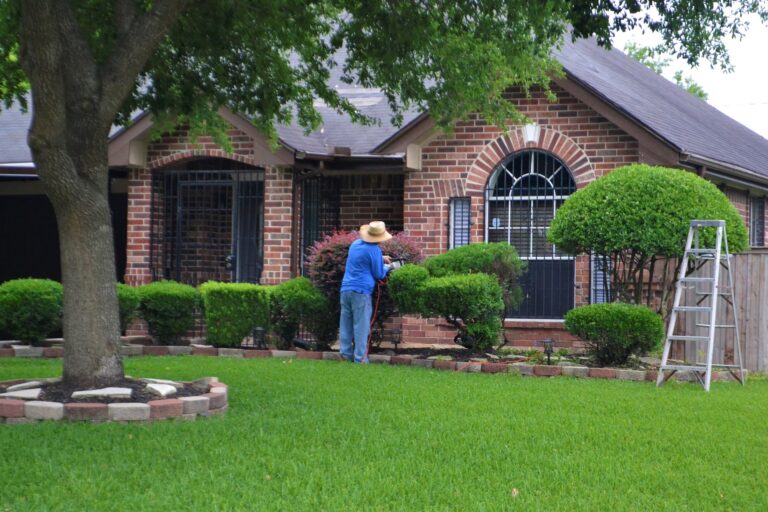 Tree Trimming Elgin TX-min