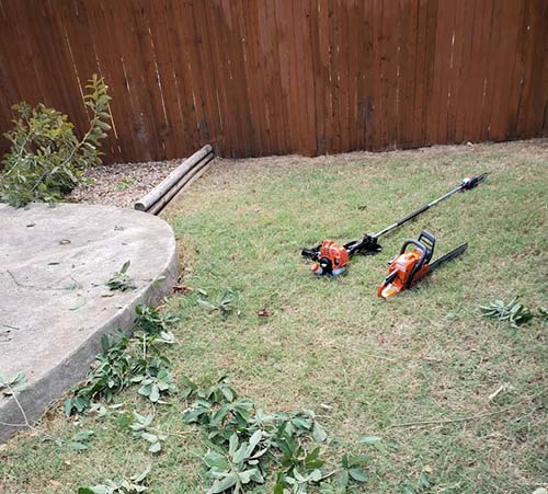 Tree Trimming Georgetown TX