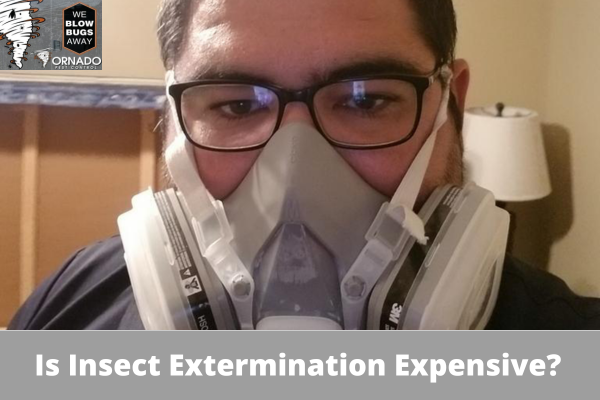 Is Insect Extermination Expensive