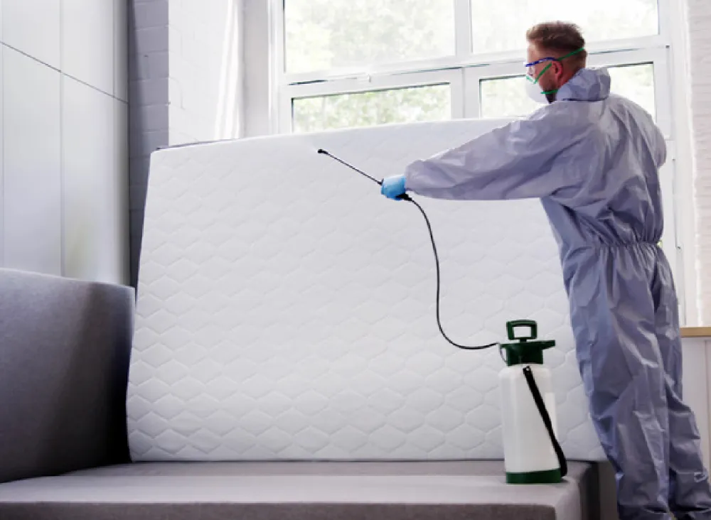 Bed bug exterminator