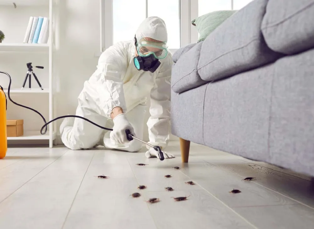 Cockroach exterminator