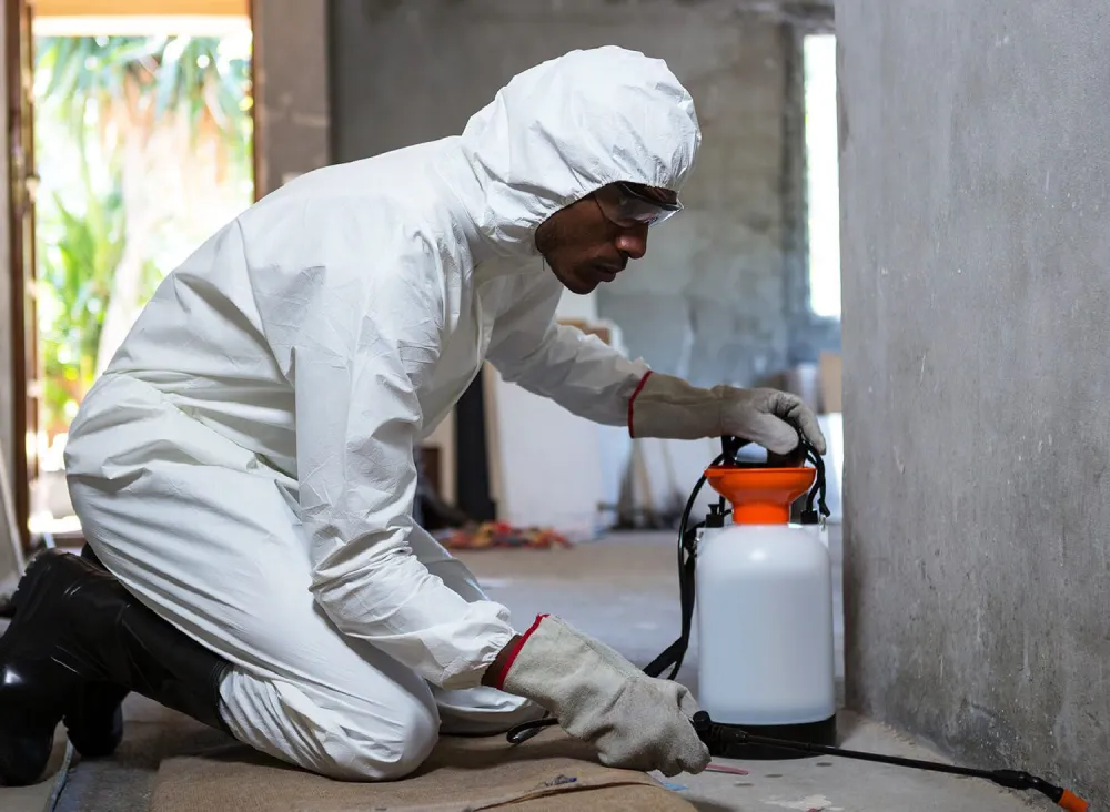 Pest removal