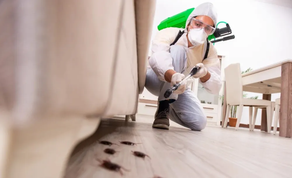 Pest Control Service Buda TX