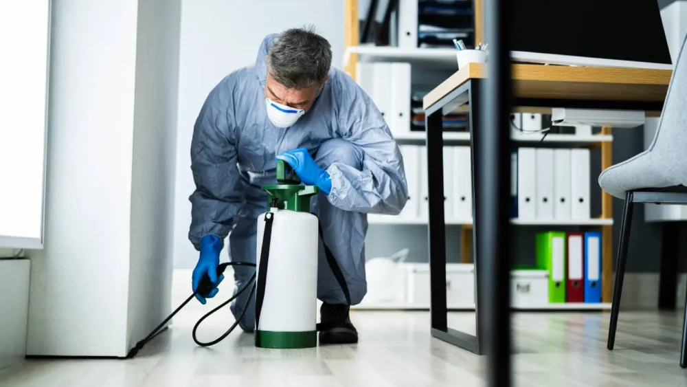 Pest Control Services Kerrville TX
