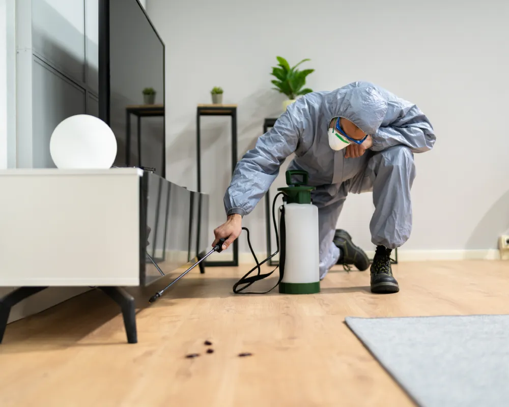 Pest Control in Leander TX