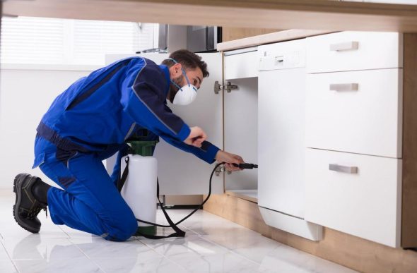 Pest Control Services in Georgetown TX