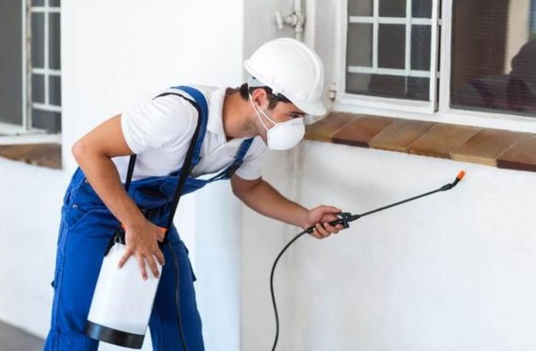 Pest Control Services in Leander TX